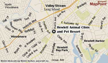 Hewlett Animal Hospital