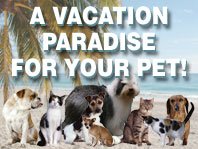 Hewlett Animal Hospital